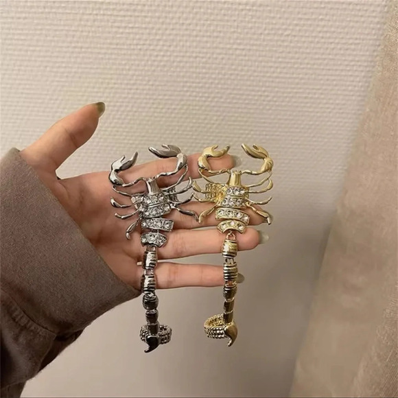 Scorpio Momento Mori Silver Plated Retro Ring - Picture 10 of 14